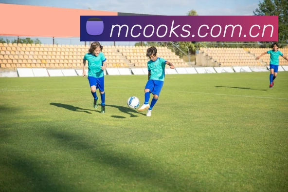 爱游戏平台官网入口官网全站App 爱游戏平台官网入口官网全站App